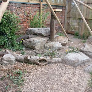 Civet enclosure - outdoor (opposite view)