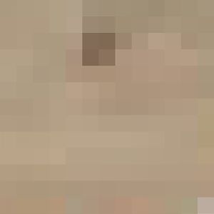 Civet enclosure - outdoor