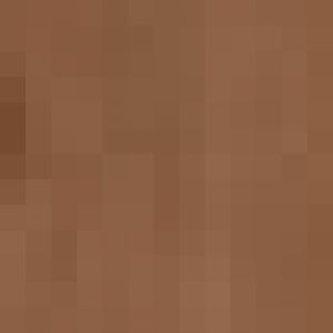 Civet enclosure - indoor bit, with monitor on the right