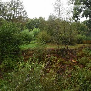 Snow Leopard enclosure 2nd view