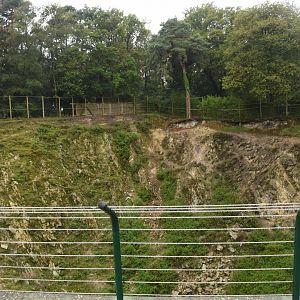 Barbary Macaque & Barbary sheep enclosure