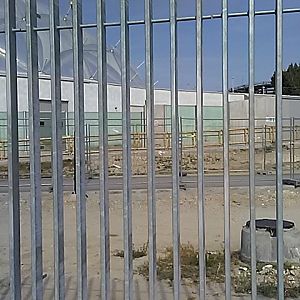 Future Croc and Small-clawed otter outdoors