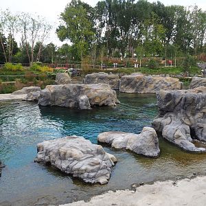 Steller's sea lion exhibit, 2020-09-02