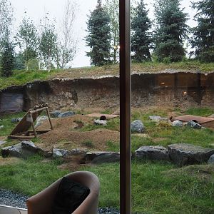 Alpine marmot exhibit next to The Paddling Bear hotel lobby, 2020-09-03