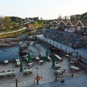 View of Steller's sea lion exhibit and The Last Frontier from the room in The Paddling Bear hotel, 2020-09-02