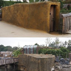 Canadian beaver den building, 2020-09-02/03