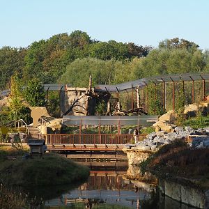 Mountain lion exhibit, 2020-09-02