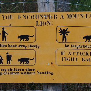What to do if you encounter a mountain lion signage, 2020-09-02