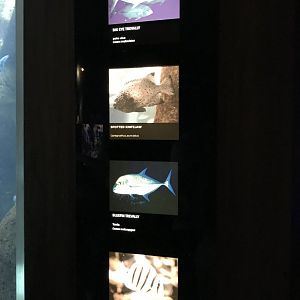 Hunters On The Reef signage (2)