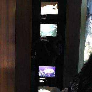 Hunters On The Reef signage (1)