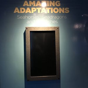 "Amazing Adaptations" entrance sign