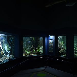 Freshwater aquariums