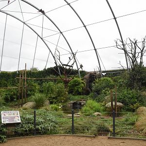 Macaw free-flight aviary