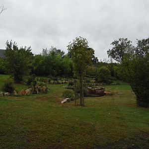 Sumatran Tiger enclosure