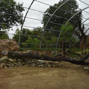 Persian Leopard cage