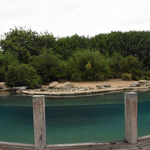 African Penguin enclosure