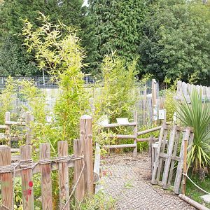 Looking towards Geoffroy's cat enclosure.