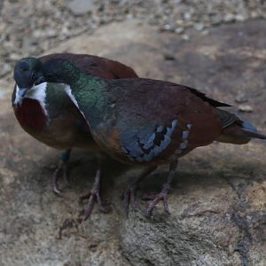 I have something to tell you...