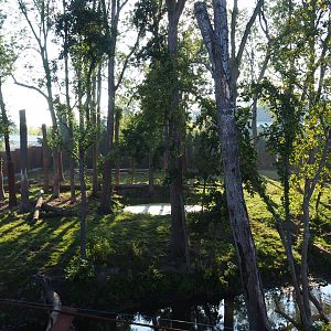 Part of the Eurasian brown bear and Eurasian grey wolf exhibit, 2020-09-02