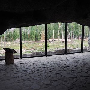 Eurasian brown bear and Eurasian grey wolf viewing cave, 2020-09-02
