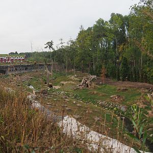 Eurasian brown bear and Eurasian grey wolf exhibit, 2020-09-02