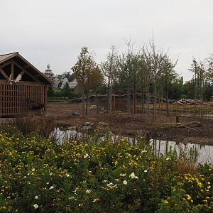 Eurasian moose exhibit, 2020-09-03