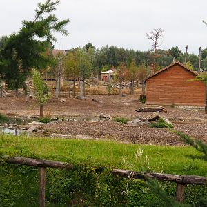 Eurasian moose exhibit, 2020-09-03