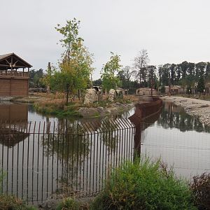 American black bear and Eurasian brown bear exhibit and Fallow deer and Native House area, 2020-09-03