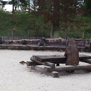 Bench and picnic table with Canadian animal wood carvings, 2020-09-02
