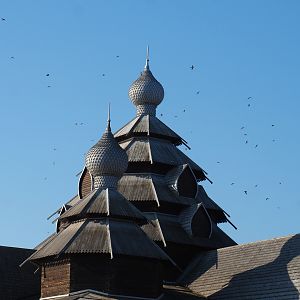 Common house martins flying around the tower of Russian restaurant L'Izba, 2020-09-02
