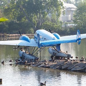 Beechcraft Model 18 floatplane and a bunch of geese, 2020-09-02