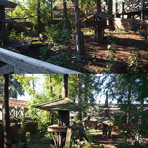 Raccoon and Striped skunk exhibit, 2020-09-02