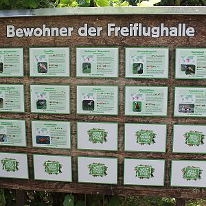 Speciesboard for Freiflughalle (09/2020)