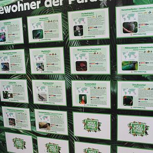 Speciesboard for Paradieshalle walk-through (09/2020)