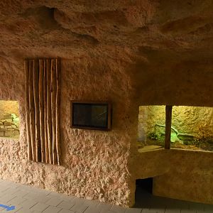 Dragon's labyrinth - overview