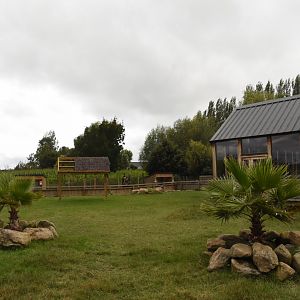 One of the tortoise lawns