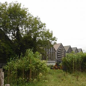 Crocodile building from outside