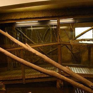 Yellow Anaconda "walkthrough"