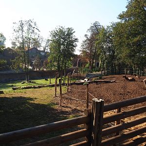 Wapiti paddock and empty future musk ox paddock, 2020-09-02