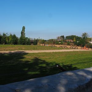 Part of the Asian elephant territory with American bison area behind it, 2020-09-02