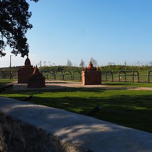 Part of the Asian elephant territory with Blackbuck/Markhor area and train track behind it, 2020-09-02