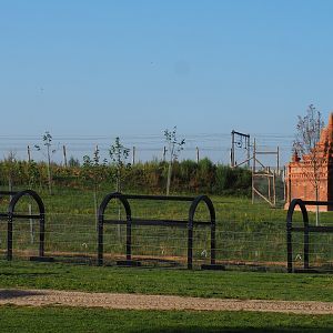 Blackbuck/Tajik markhor area and train track, 2020-09-02