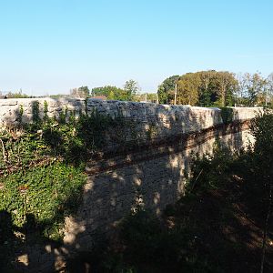 Old abbey wall used as back wall of the Mackenzie Valley wolf exhibit, 2020-09-02