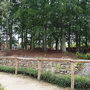 Amur tiger exhibit, 2020-09-03
