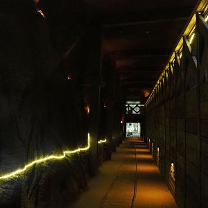 Tunnel to Pacific walrus and Polar bear underwater viewing area, 2020-09-02