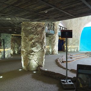 Access to Pacific walrus and Polar bear underwater viewing area, 2020-09-02