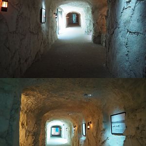 Cave with Pacific walrus underwater viewing areas, 2020-09-02