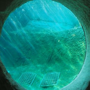 Underwater viewing area Pacific walrus separation exhibit, 2020-09-02