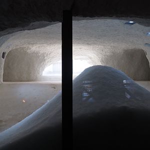 Polar bear ice cave, 2020-09-02