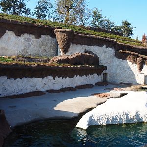 Pacific walrus exhibit, 2020-09-02